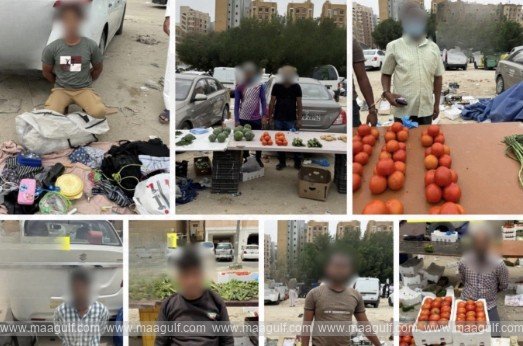 Illegal-Street-Stalls-Seized-in-Mahboula-10-Violators-Referred-to-Authorities