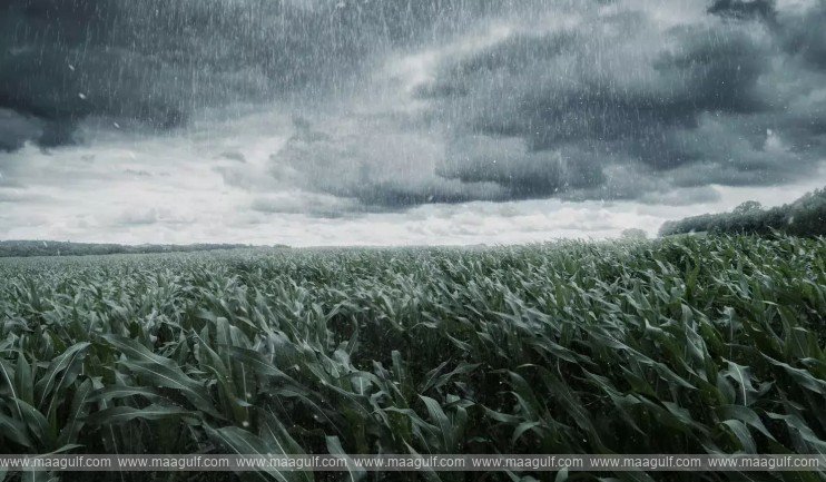 Southwest monsoon to hit Kerala on May 26
