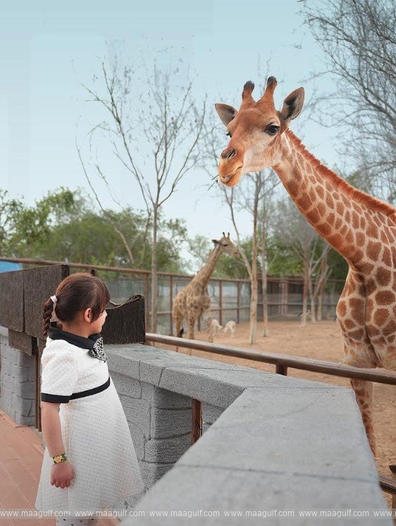 Kids Go & Eat for Free at Emirates Park Zoo & Resort