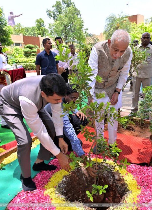 ప్రపంచ పర్యావరణ దినోత్సవం సందర్భంగా మొక్కను నాటిన గవర్నర్ అబ్దుల్ నజీర్