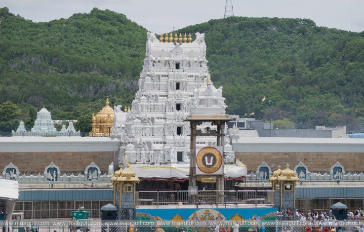 తిరుమలలో ప్రతీ రోజూ వెయ్యి మందికి ఉచిత దర్శనం