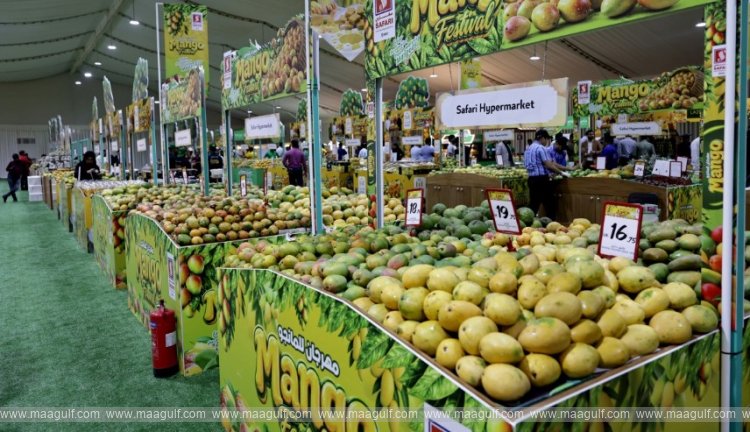 indian-mango-exhibition-at-souq-waqif-sees-record-sales-strong-public-turnout