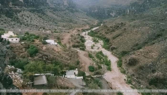 Heavy rains in South Al Batinah Governorate...!!