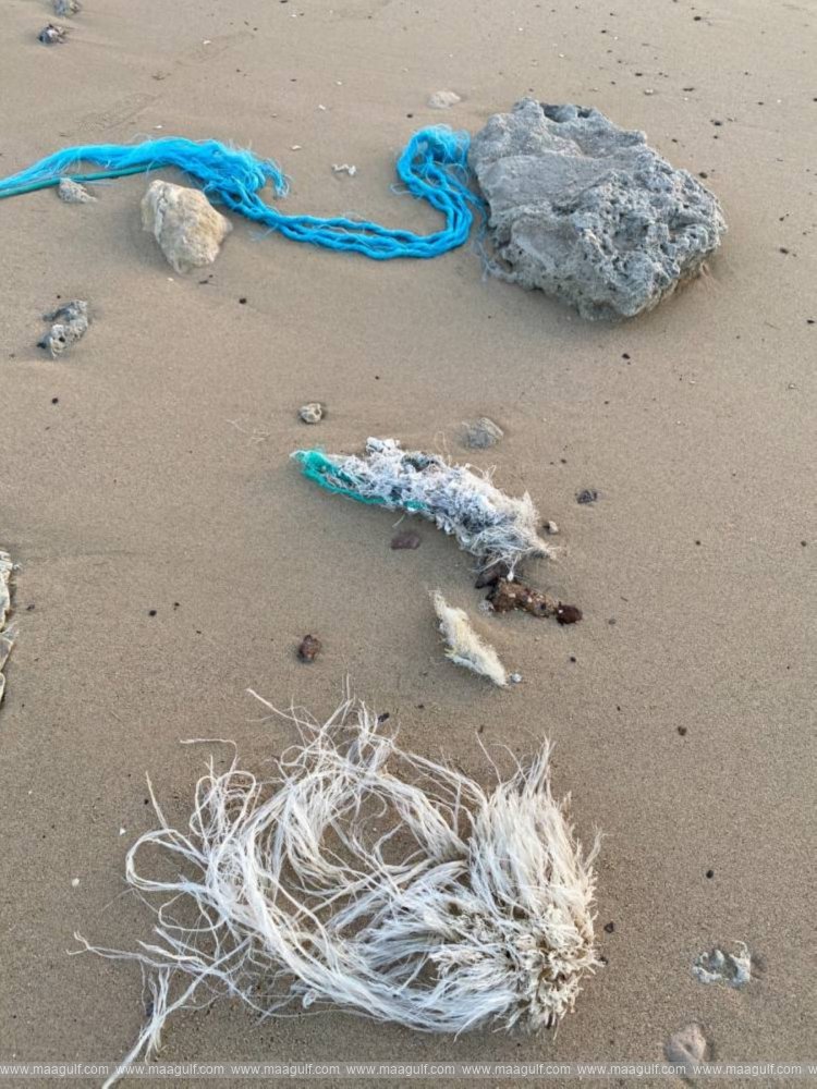 Plastic pollution... a massive curse for humanity...!!