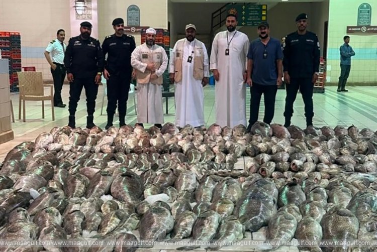 3.2 tonnes of rotten fish seized at the fish market..!!
