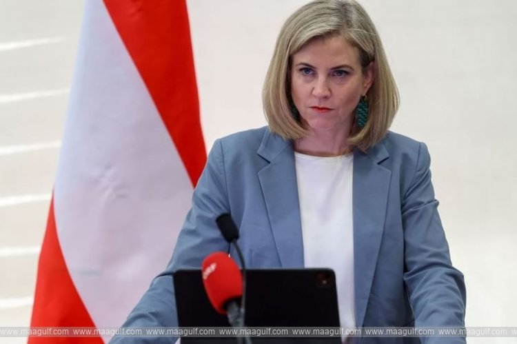 Austria stresses need to continue implementing Gaza peace plan