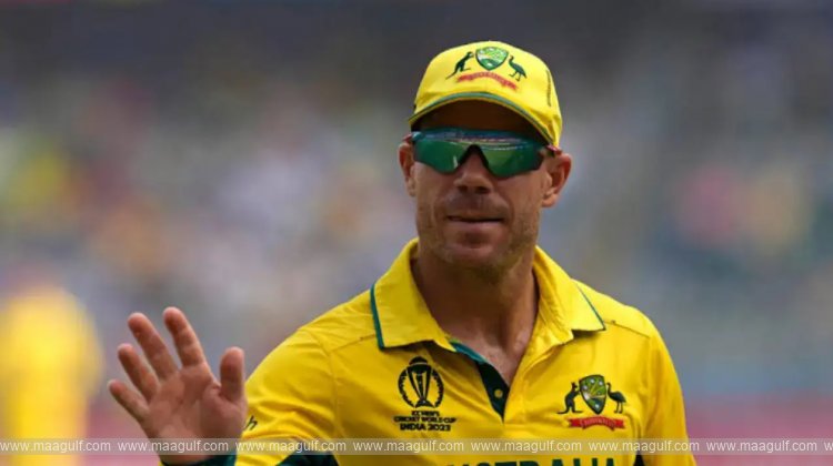 Australian cricketer sentenced to 9 months in prison