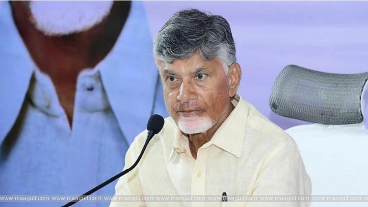 CM Chandrababu Naidu responds to Guntur incident