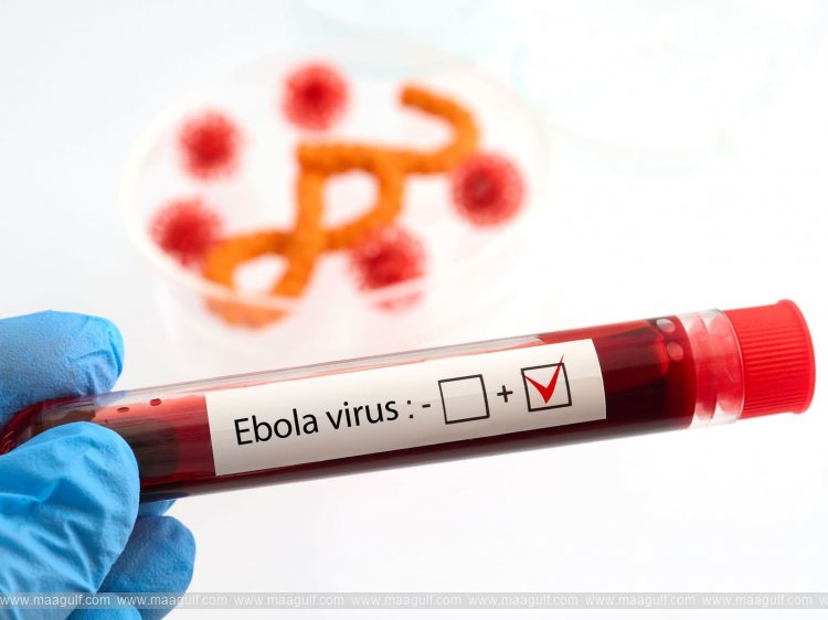 First Ebola patient in France recovers