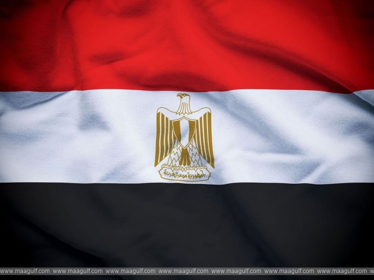 Egypt strongly condemns attack on two ADNOC vessels in Strait of Hormuz