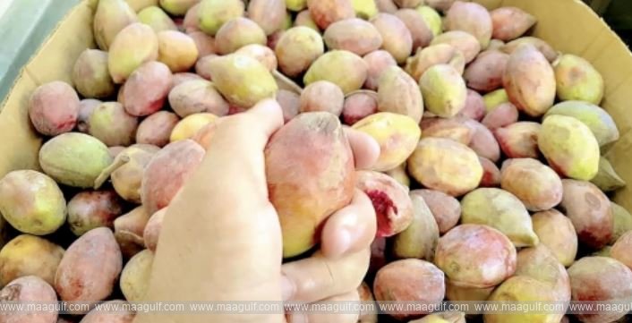 బహ్రెయిన్‌లో లోజ్ పండ్ల ధరలకు రెక్కలు..!!