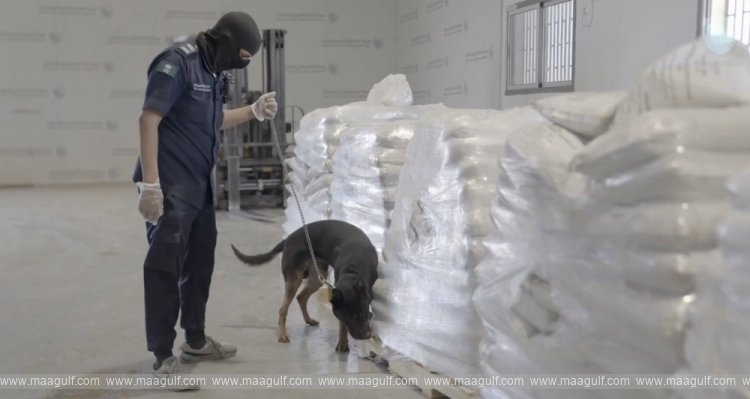 Saudi Customs foils massive drug gang plot...!!