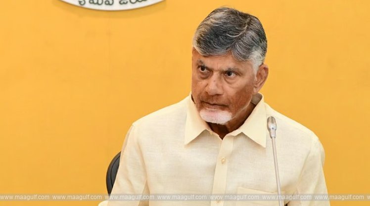\'Sanjeevani\' to be distributed across the state from January 1: CM Chandrababu