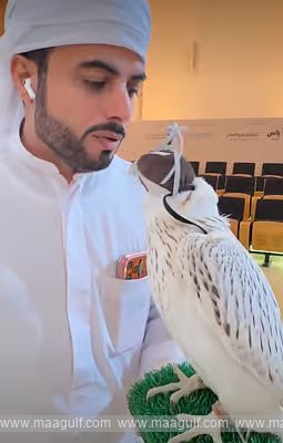 Abu Dhabi Falcon Auction: White Falcon Sold for Dh250,000!