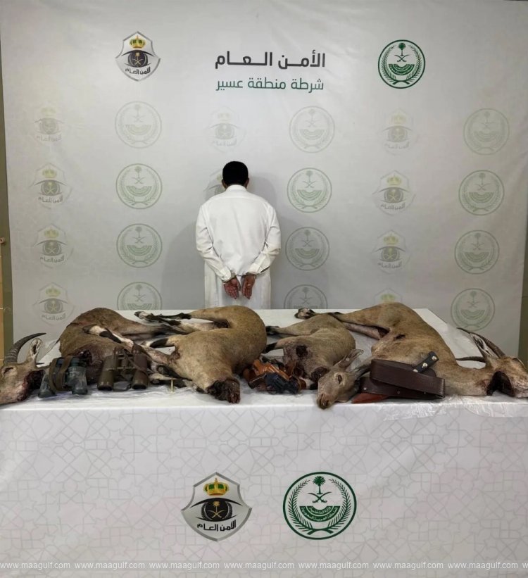 Man arrested for hunting ibex in Saudi Arabia..!!