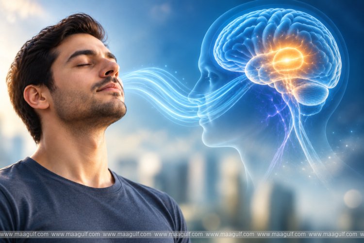 Does breathing influence decision-making? An interesting study...!!