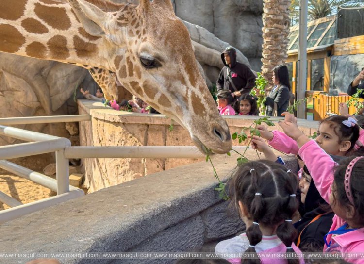 Emirates Park Zoo & Resort strengthens its educational programmes to bring learning beyond the classroom