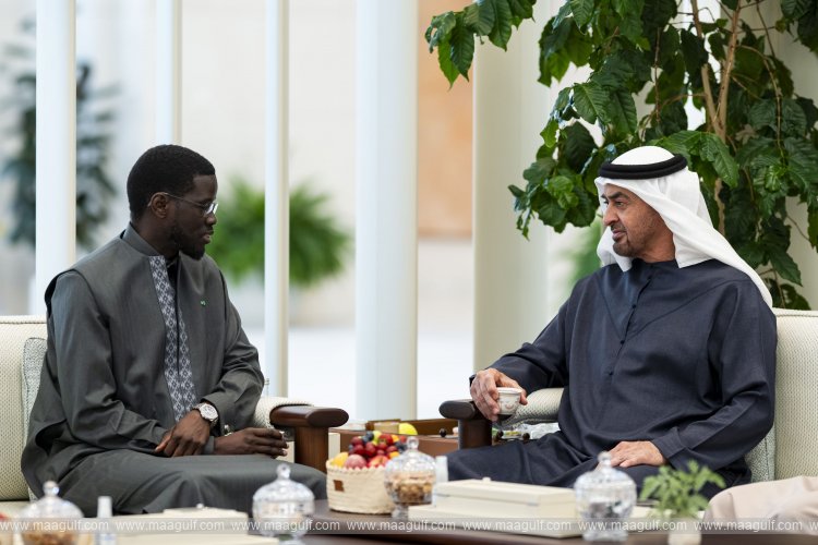 UAE and Senegalese Presidents discuss strengthening bilateral ties