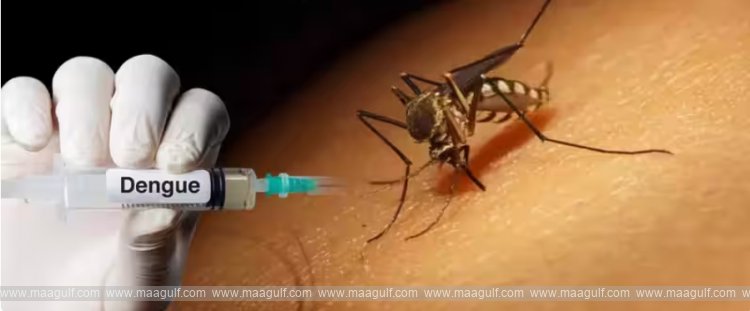 గుడ్ న్యూస్..డెంగీ వ్యాక్సిన్ వచ్చేస్తోంది