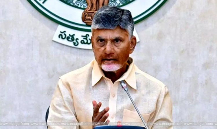 CM Chandrababu Naidu\'s key comments on local elections