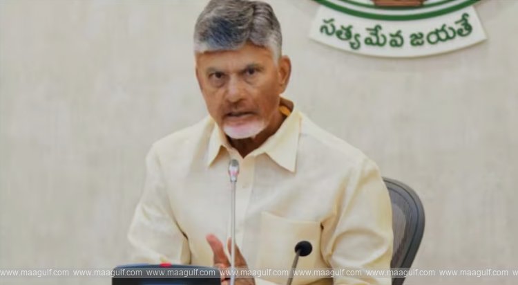 Chandrababu Naidu\'s key instructions on candidate selection, aiming to win local elections