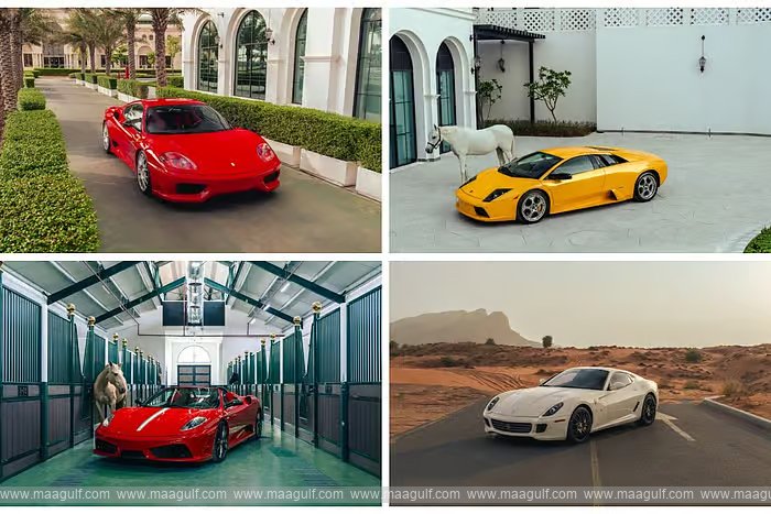 An auction of rare luxury cars to be held in Abu Dhabi in December..!