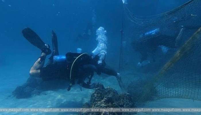 జబల్ అల్ సవాదిలో సముద్ర జీవుల రక్షణకు స్పెషల్ డ్రైవ్..!!