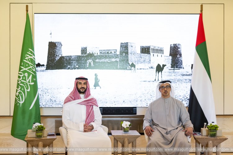 Mansour bin Zayed meets Khalid bin Salman