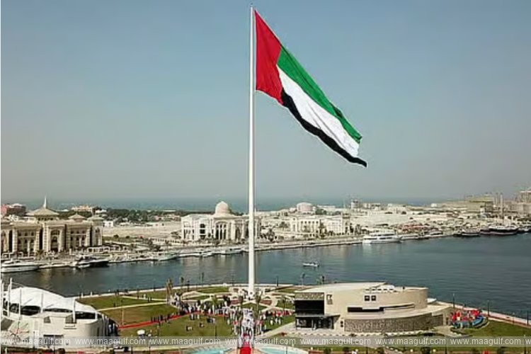 IAEA praises UAE\'s response to Baraka nuclear power plant incident