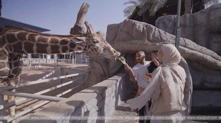 5 Things to Do at Emirates Park Zoo & Resort in Abu Dhabi This Winter