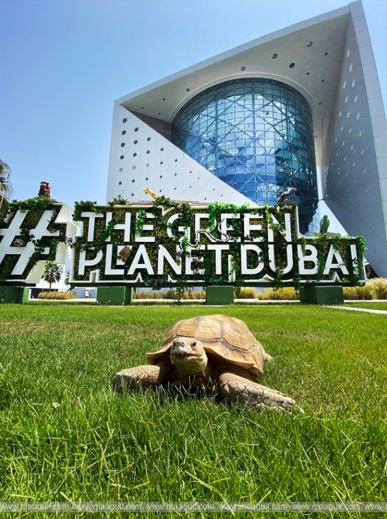 The Green Planet™ Dubai Marks 10 Years with 10 Days of Fun