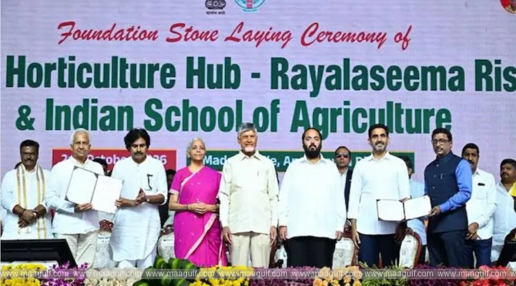 Nirmala Sitharaman\'s key role in nation building.. CM Chandrababu praises her