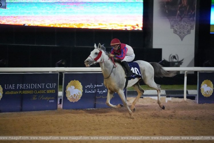 15 horses to compete in UAE President’s Cup for Purebred Arabian Horses in Libya Saturday