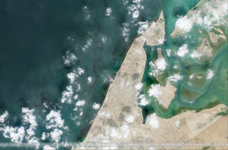 Impact of oil leakage.. All beaches in Sharjah temporarily closed