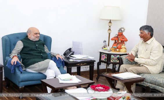 అమిత్‌ షాతో ఏపీ సీఎం చంద్రబాబు భేటీ